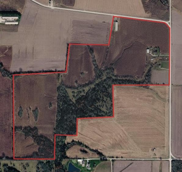 160 Acre Lee County Hunting Lease(Zone 6) - Photo 1