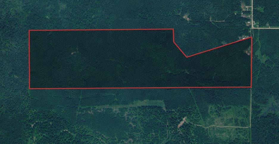 145 Acre Mackinac County Hunting Lease  - Photo 1