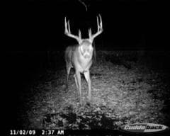 70 Acre Anoka County Hunting Access - Photo 1