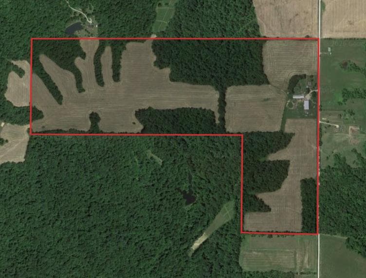 148 Acre Owen County Hunting Lease  - Photo 1