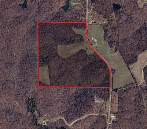 84 Acre Bollinger County Hunting Lease  - Photo 1