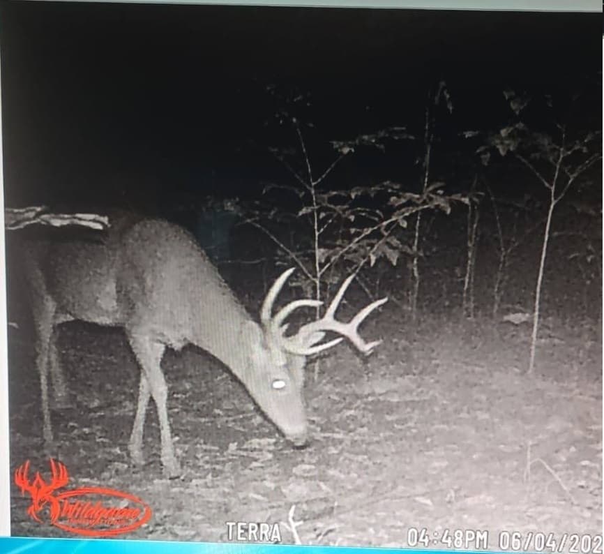 Barren County 25 Acre Annual lease - Photo 1