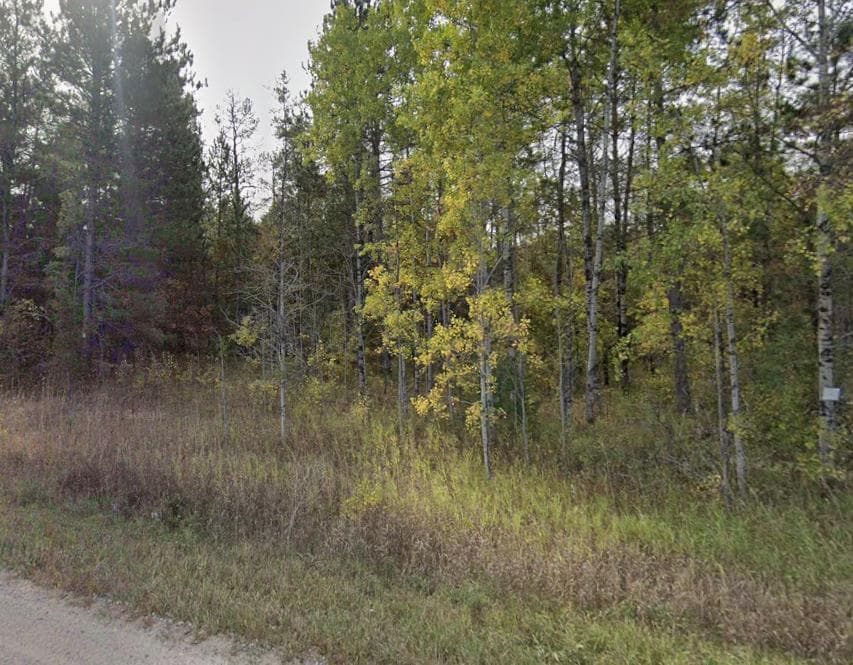 10 Acre Montmorency County Hunting Lease  - Photo 1