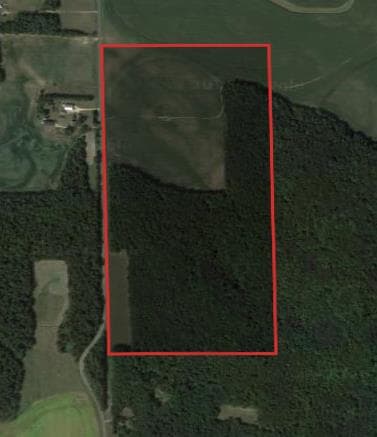 80 Acre Dunn County Archery Hunting Lease  - Photo 1