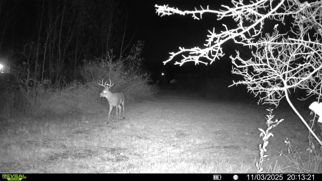 Ashtabula County 23 Acre Hunting lease - Photo 1