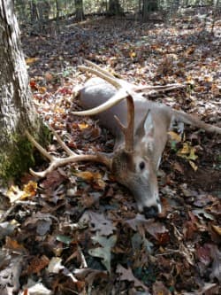 North Anna Deer Camp - Photo 1
