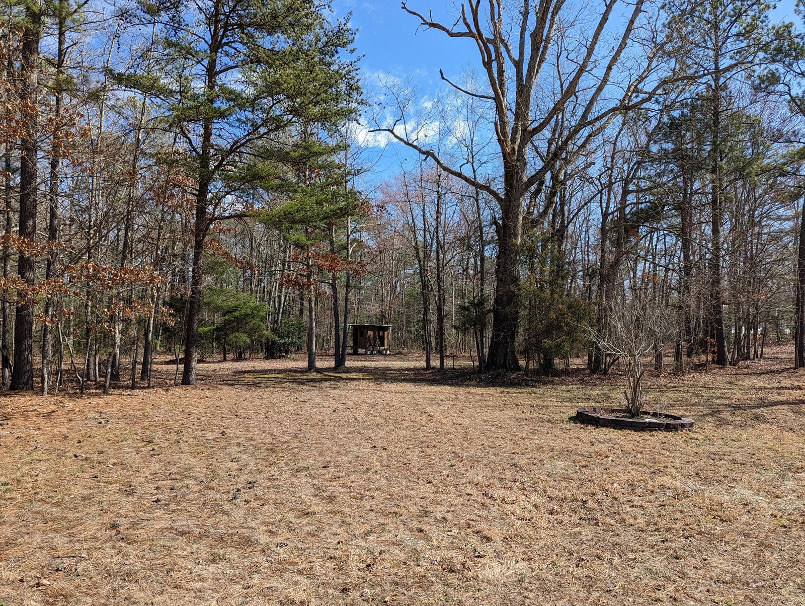 Adenauer Acres - Photo 1