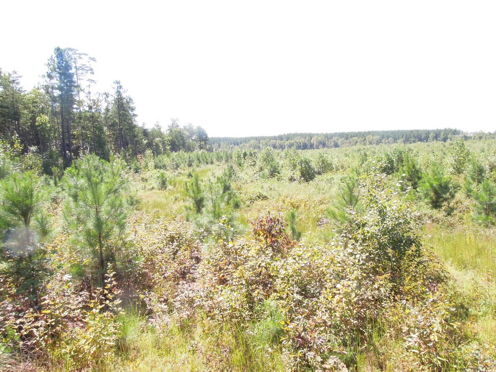 TKR Outdoor Adventures - Photo 1