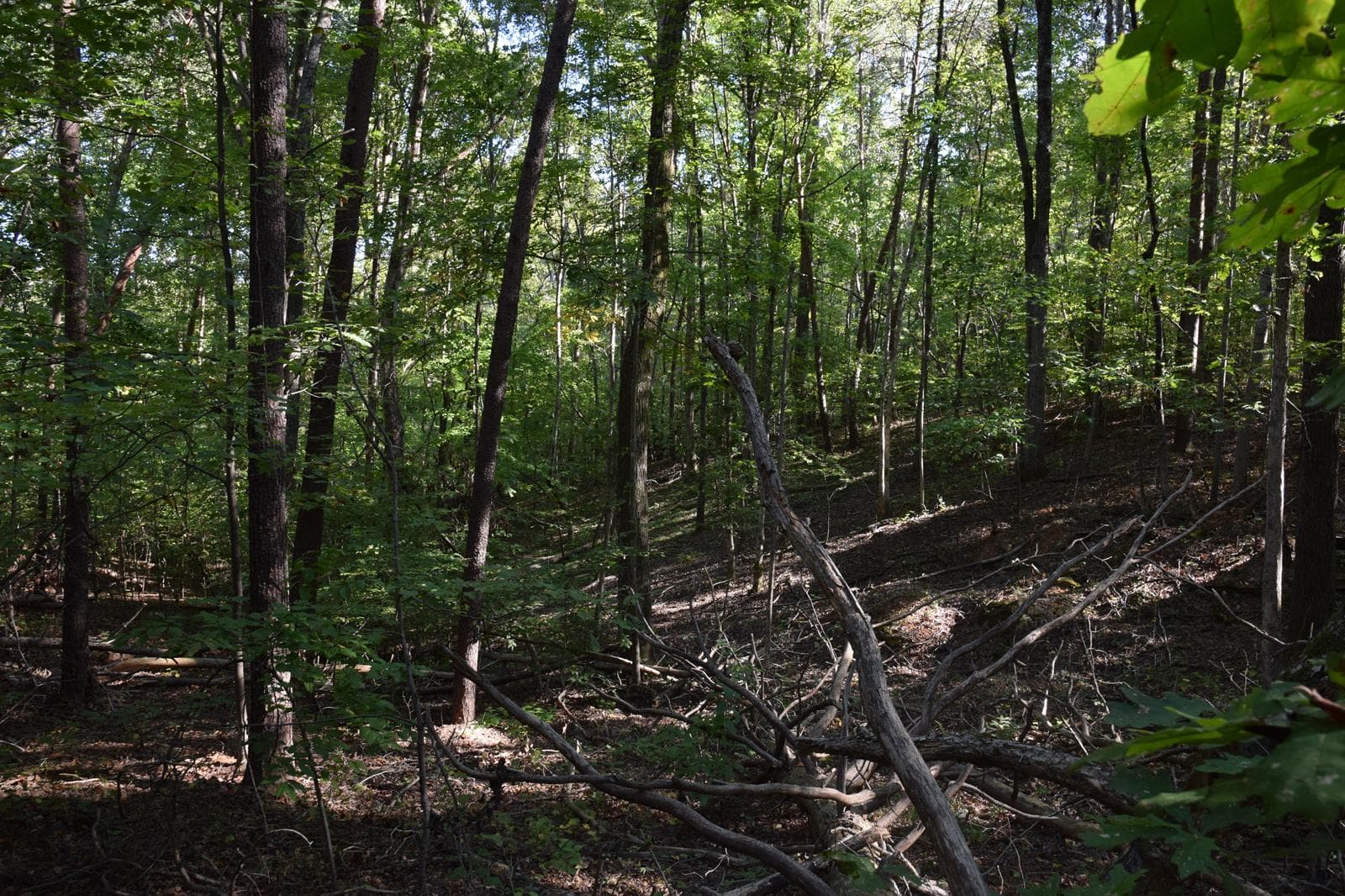 Beeson Road Property - Photo 1