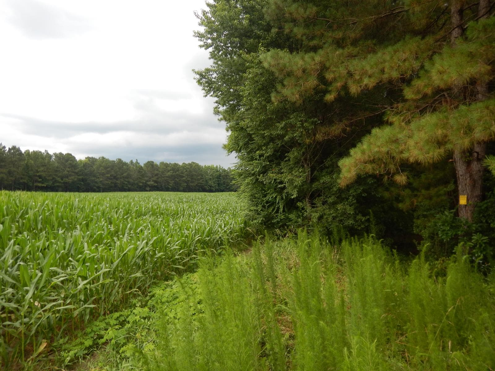 Hernandez Hunting - Photo 1