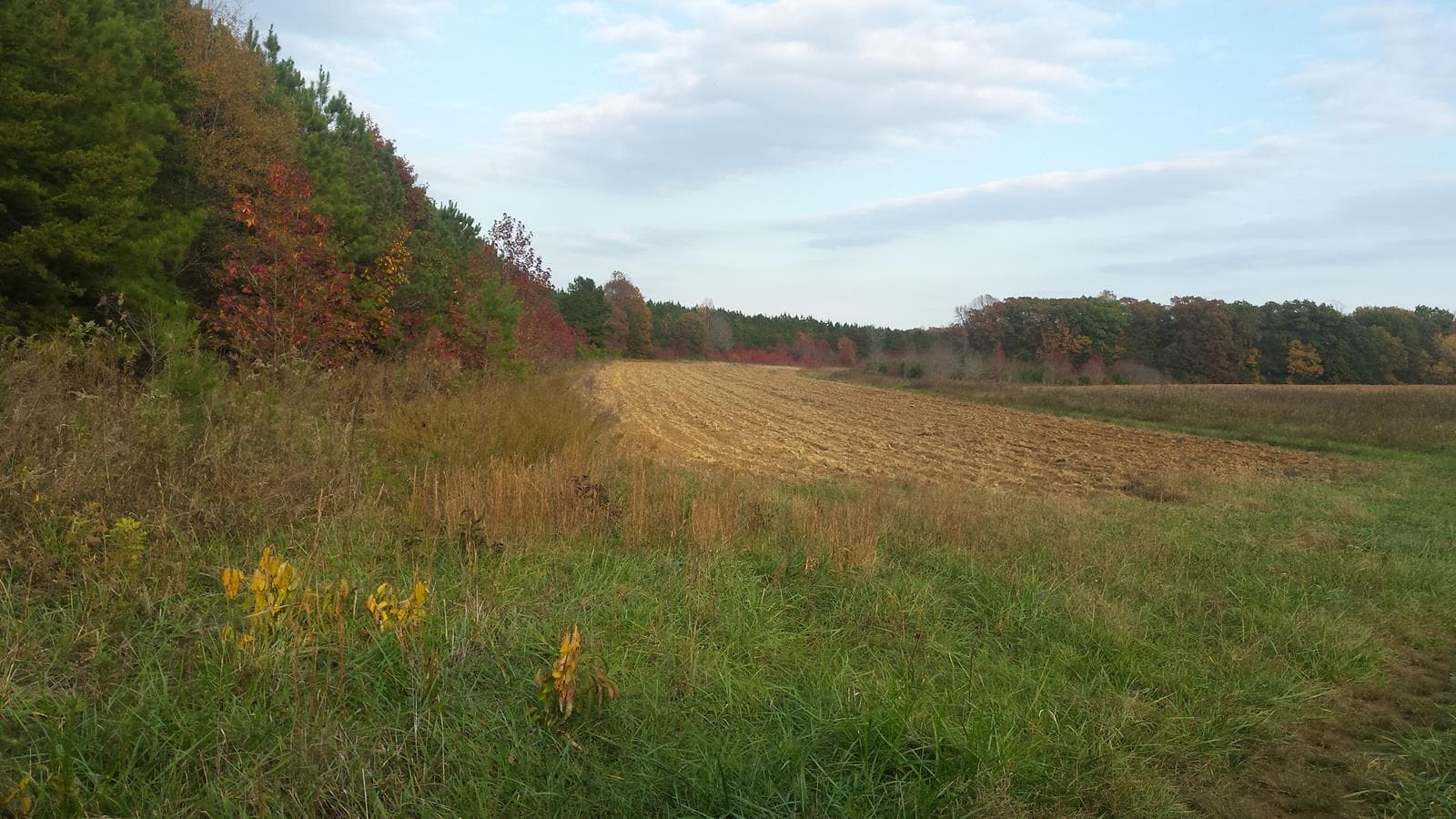 Old Mill Road Farm - Photo 1