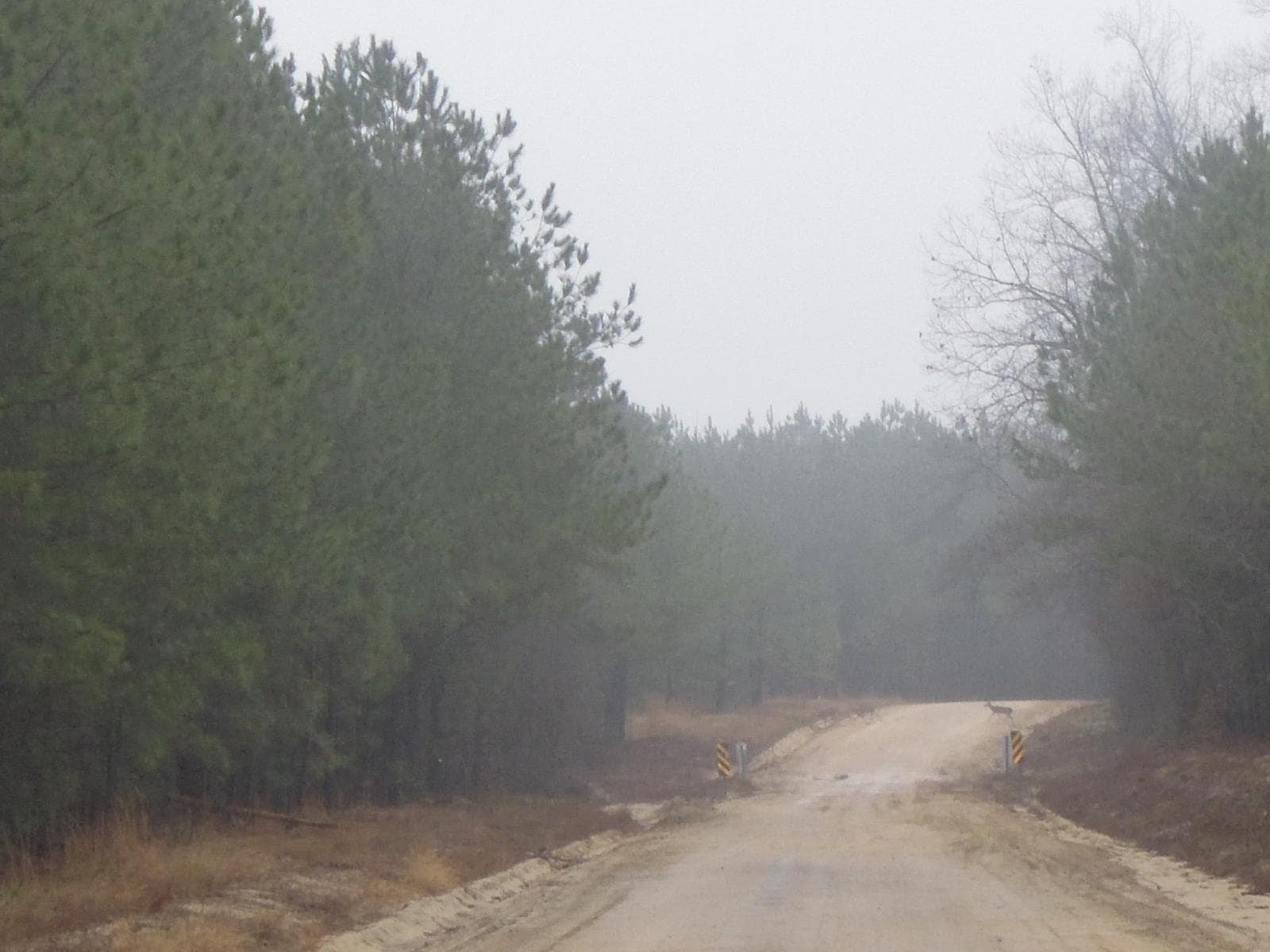 Windblow West* - Photo 1