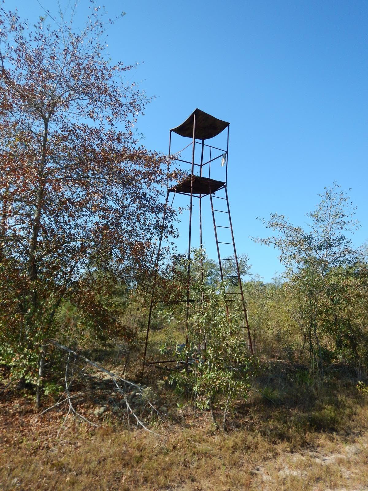 Wagener Trail Farm** - Photo 1