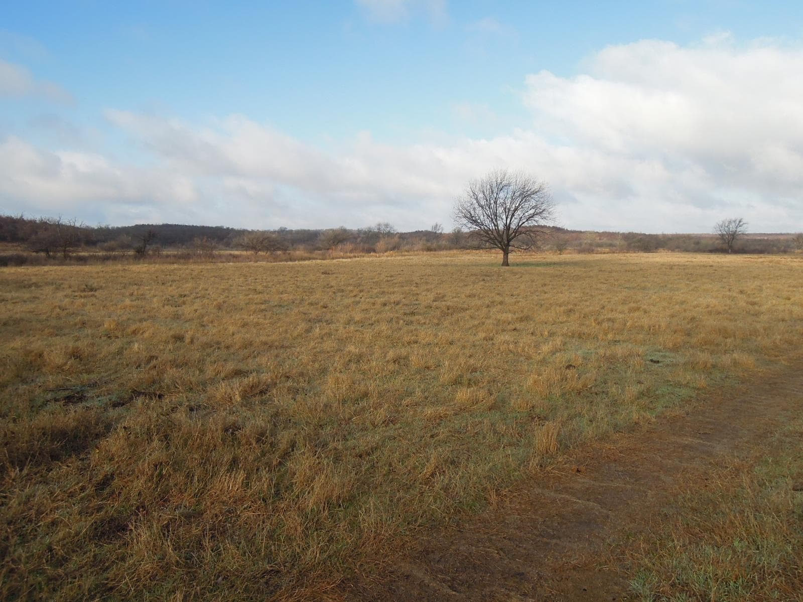Rock Springs NE - Photo 1