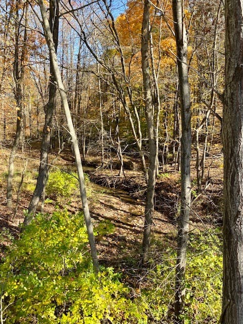 Slaughterbeck Acres - Photo 1