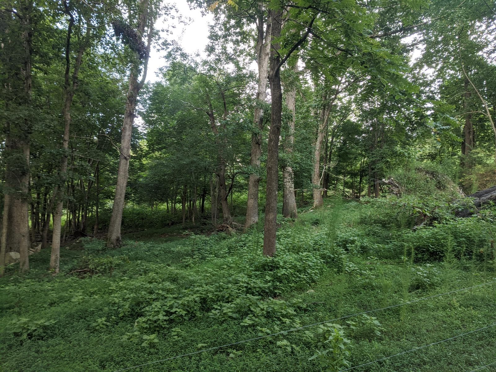 Water Tower Hunt - Photo 1