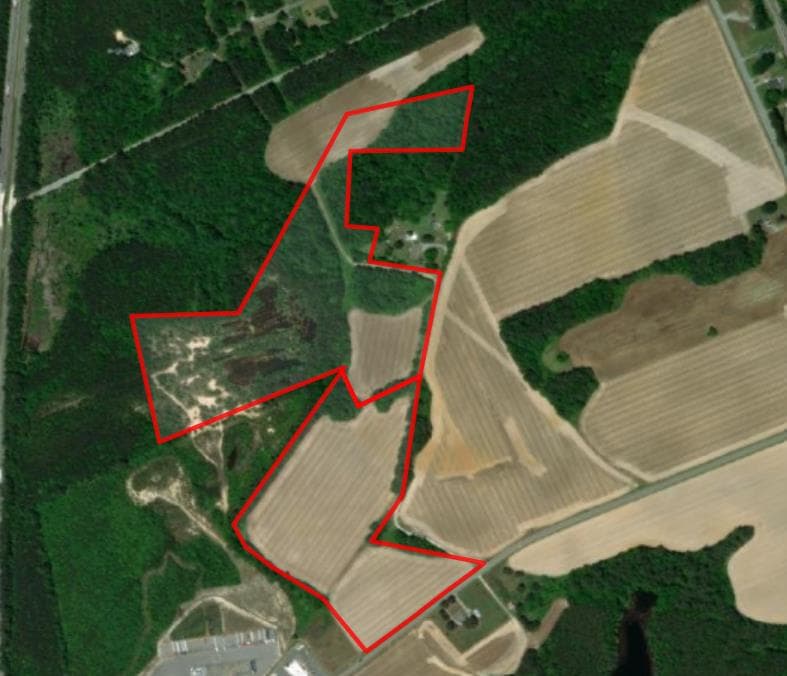 Collier Branch Woods North - Photo 1