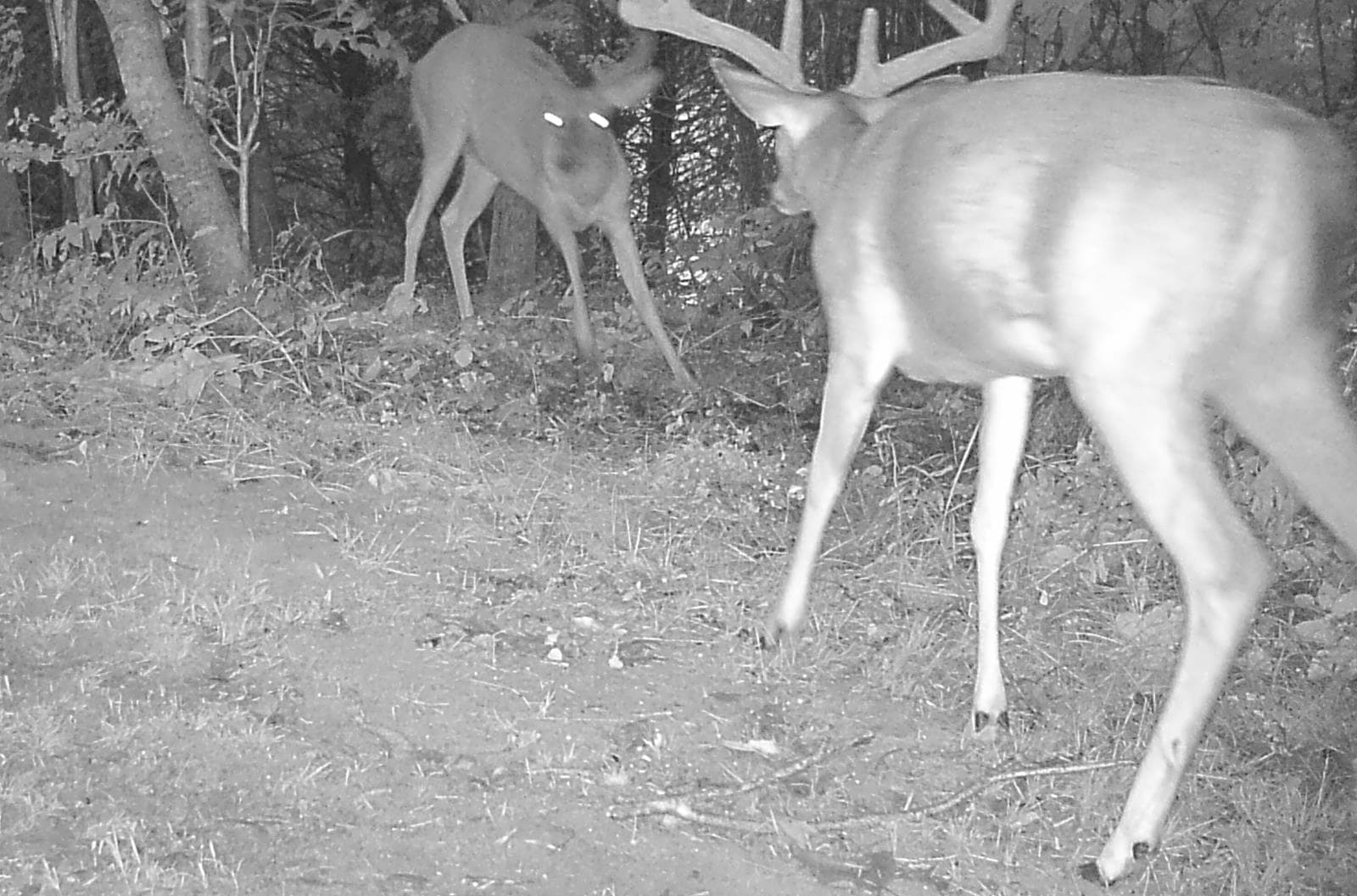 Taylor Farm 156 - Photo 1