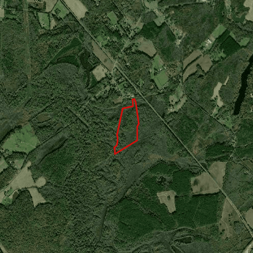 Guinea Station Hunt - Photo 1