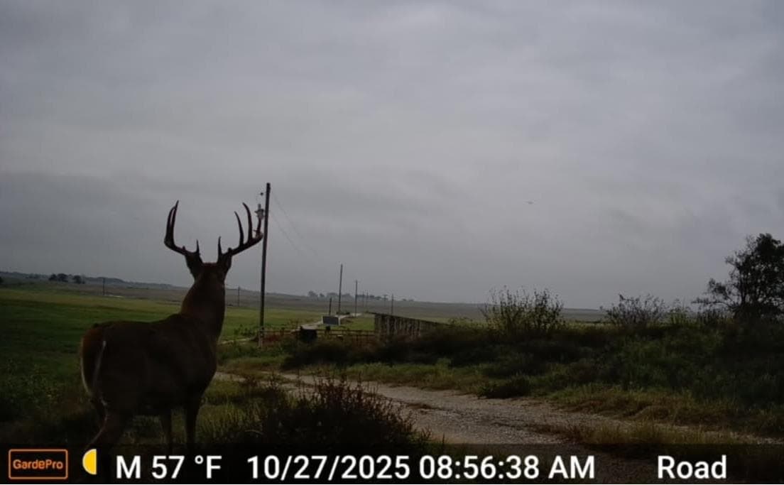 Hursh Ranch 160 Blaine County Ok - Photo 1