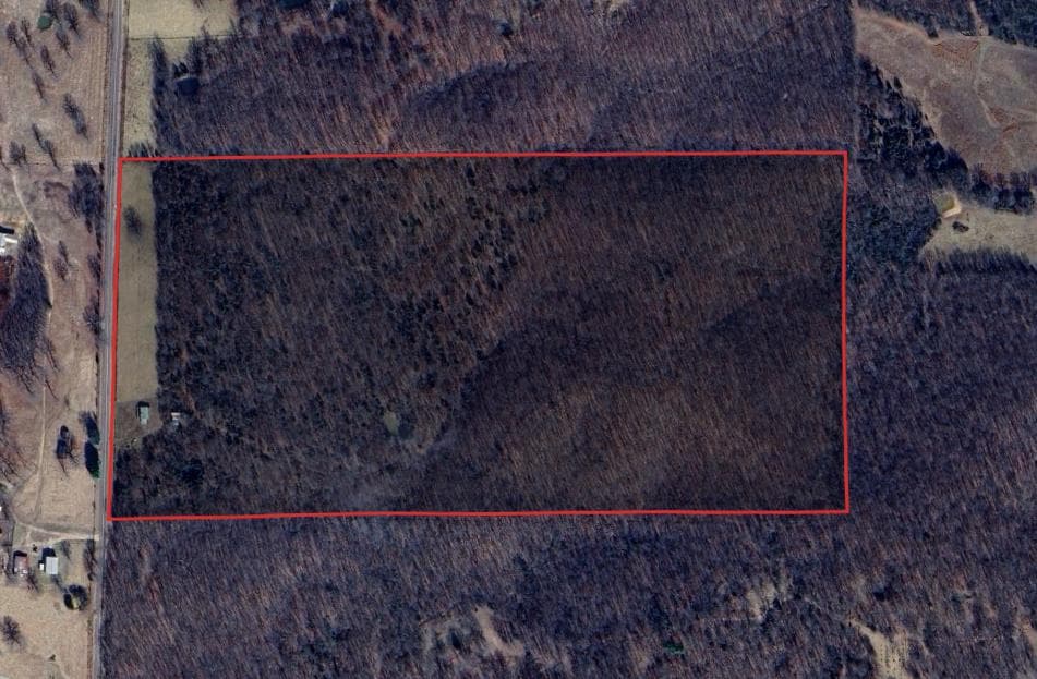 Oregon County 80 Acre Hunting Lease - Photo 1