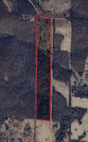50 Acre Howell County MO Hunting Lease - Photo 1