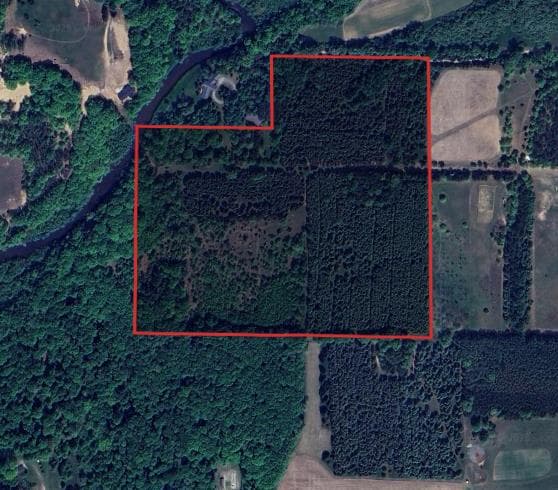 40 Acres Mason County MI Hunting Lease - Photo 1