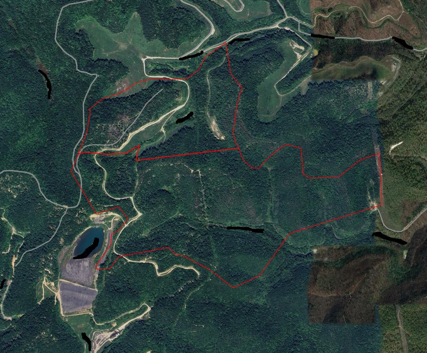 604 Acre Lawrence County KY Hunting lease - Photo 1