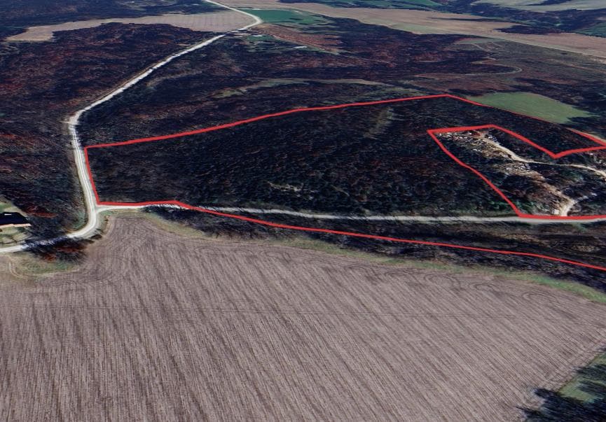 38 Acres Des Moines County Hunting(Zone 6) - Photo 1