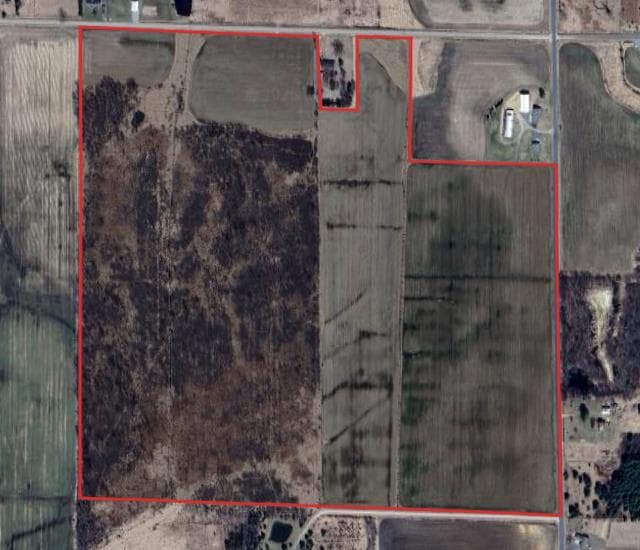 155 Acre Wood County Hunting Lease - Photo 1