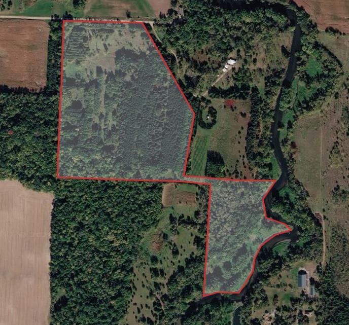 40 Acre Wright County Hunting Lease - Photo 1
