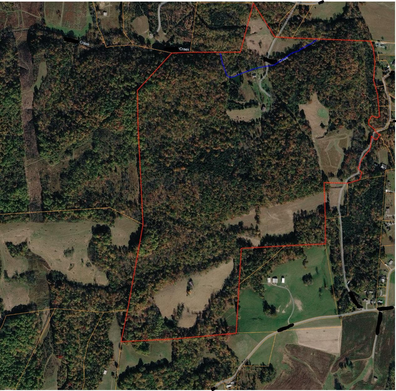 Metcalfe County KY 231 Acre Hunting lease - Photo 1