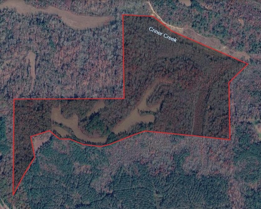 118 Acre Chester County Hunting Lease - Photo 1